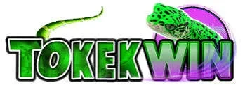 tokekwin — logo banner resmi Indonesia